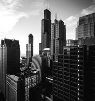 pexels-cameron-casey-1722183