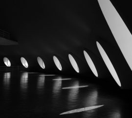 pexels-felipe-ribeiro-2271683